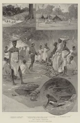 Die Ashanti-Expedition